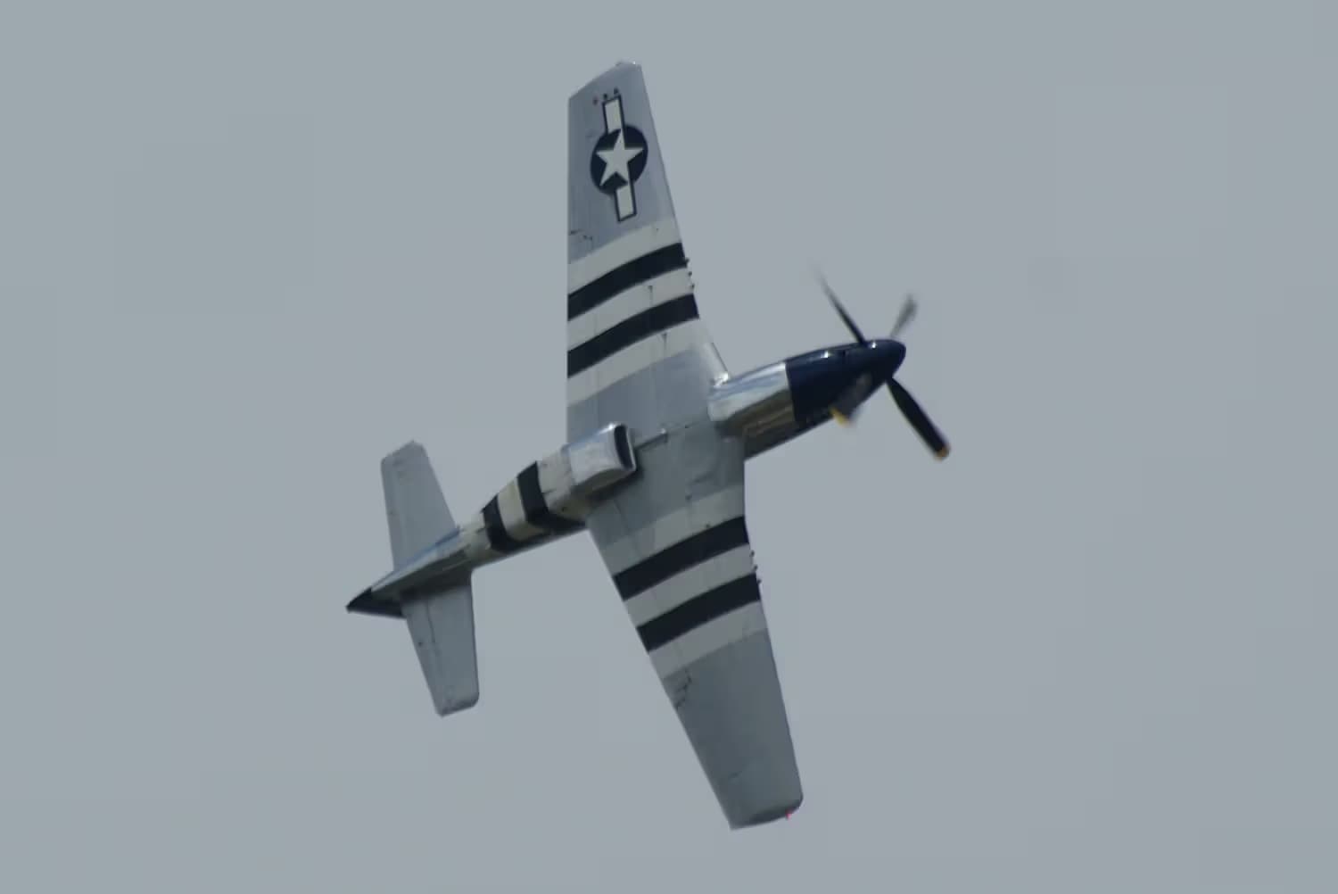 Unidentified — Warbird