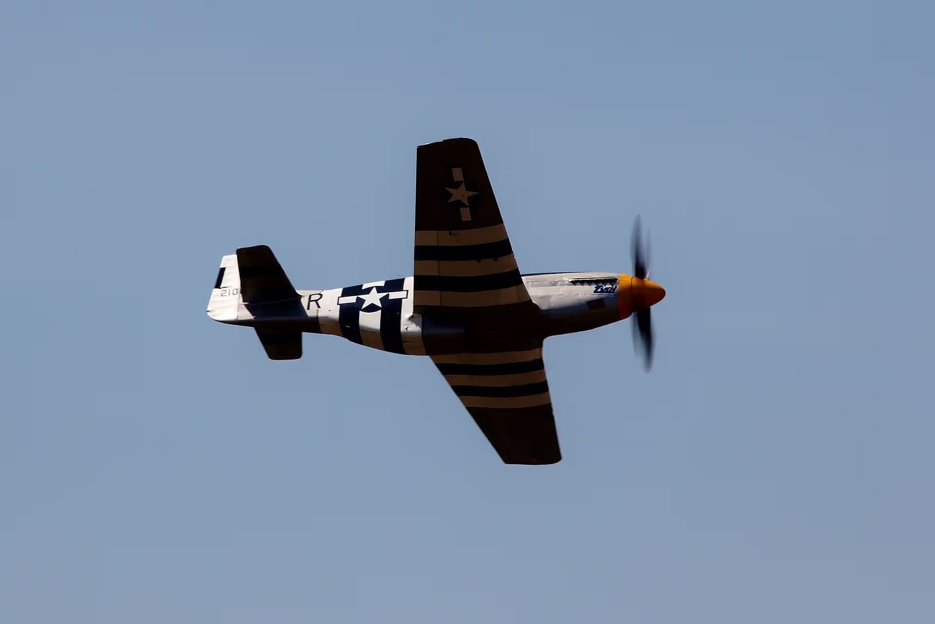 Unidentified — Warbird