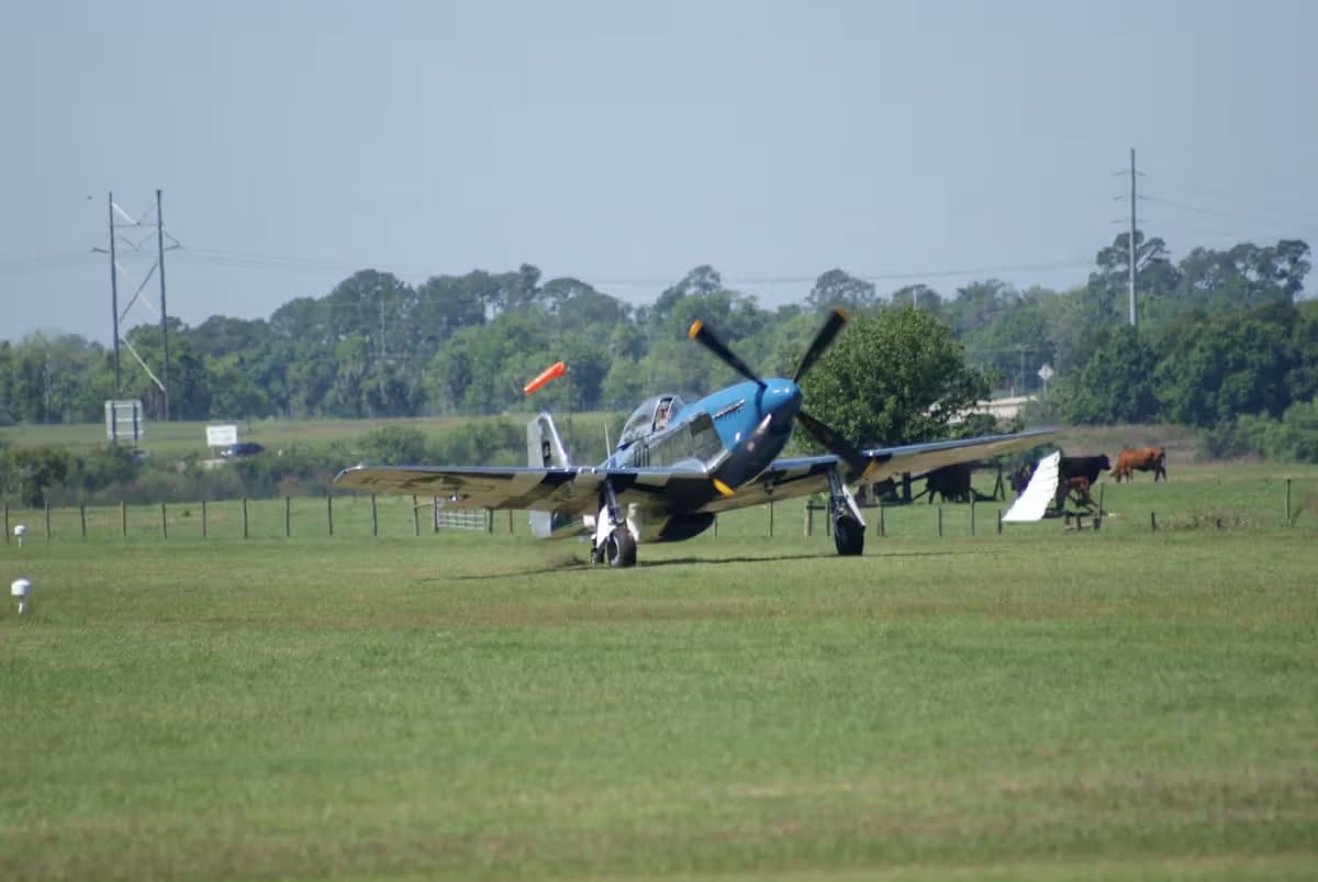 Unidentified — Warbird