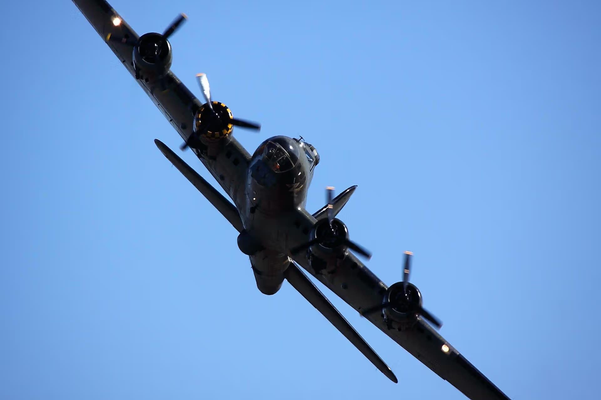 Unidentified — Warbird