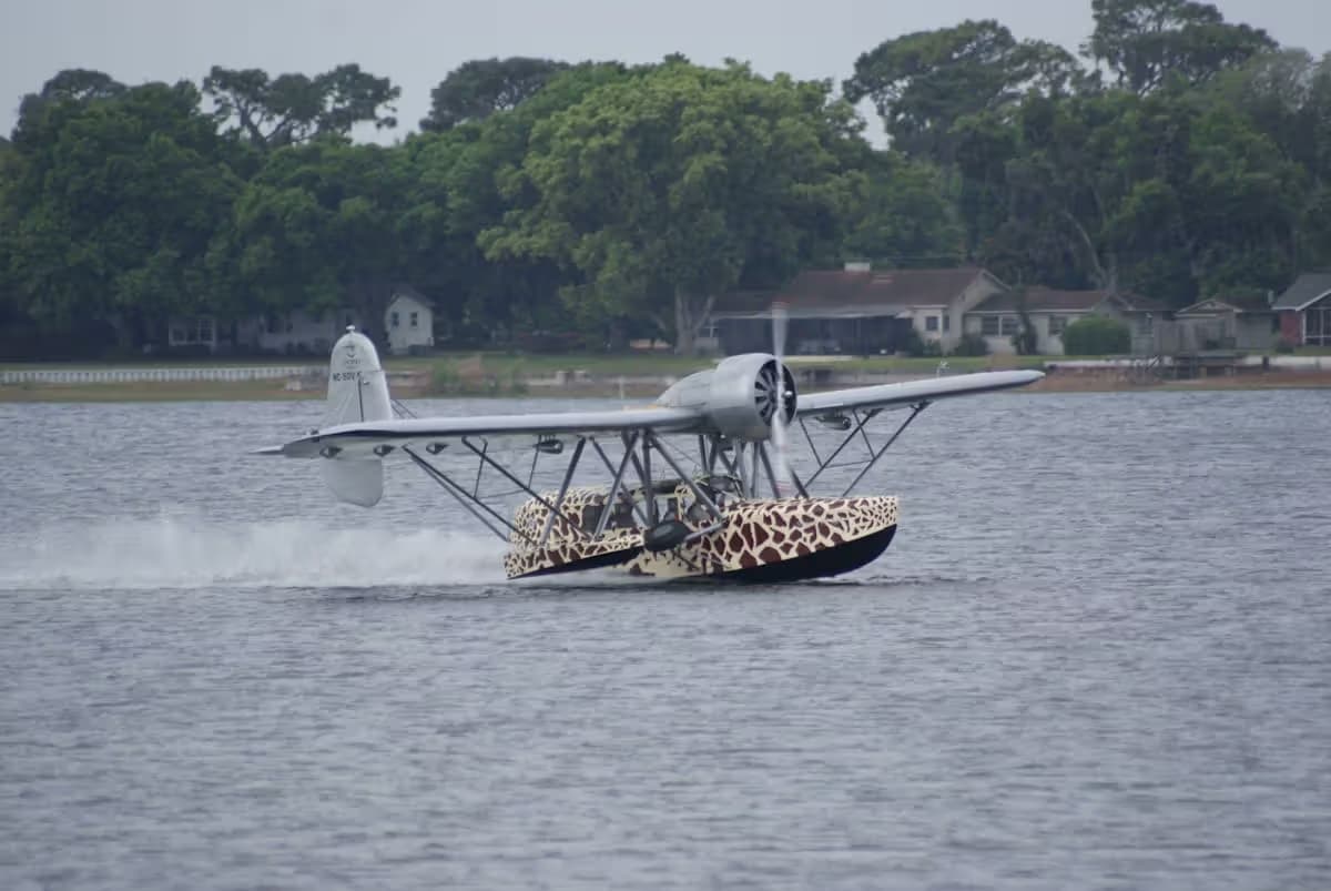 Unidentified — Single-engine aircraft