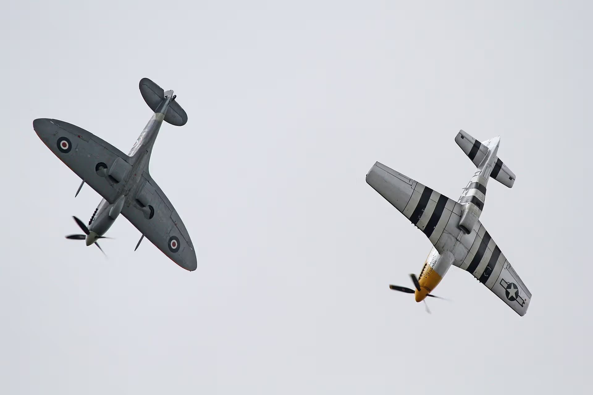 Unidentified — Warbird