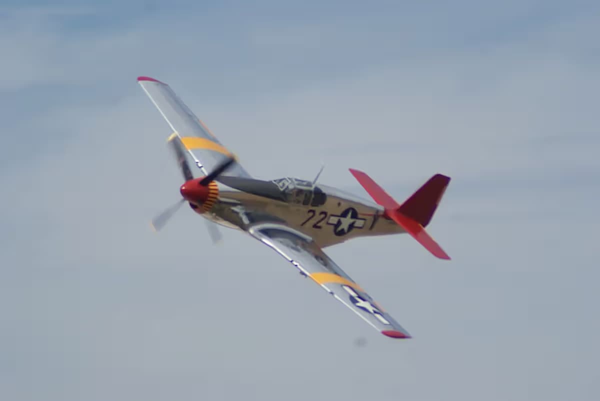 Unidentified — Warbird