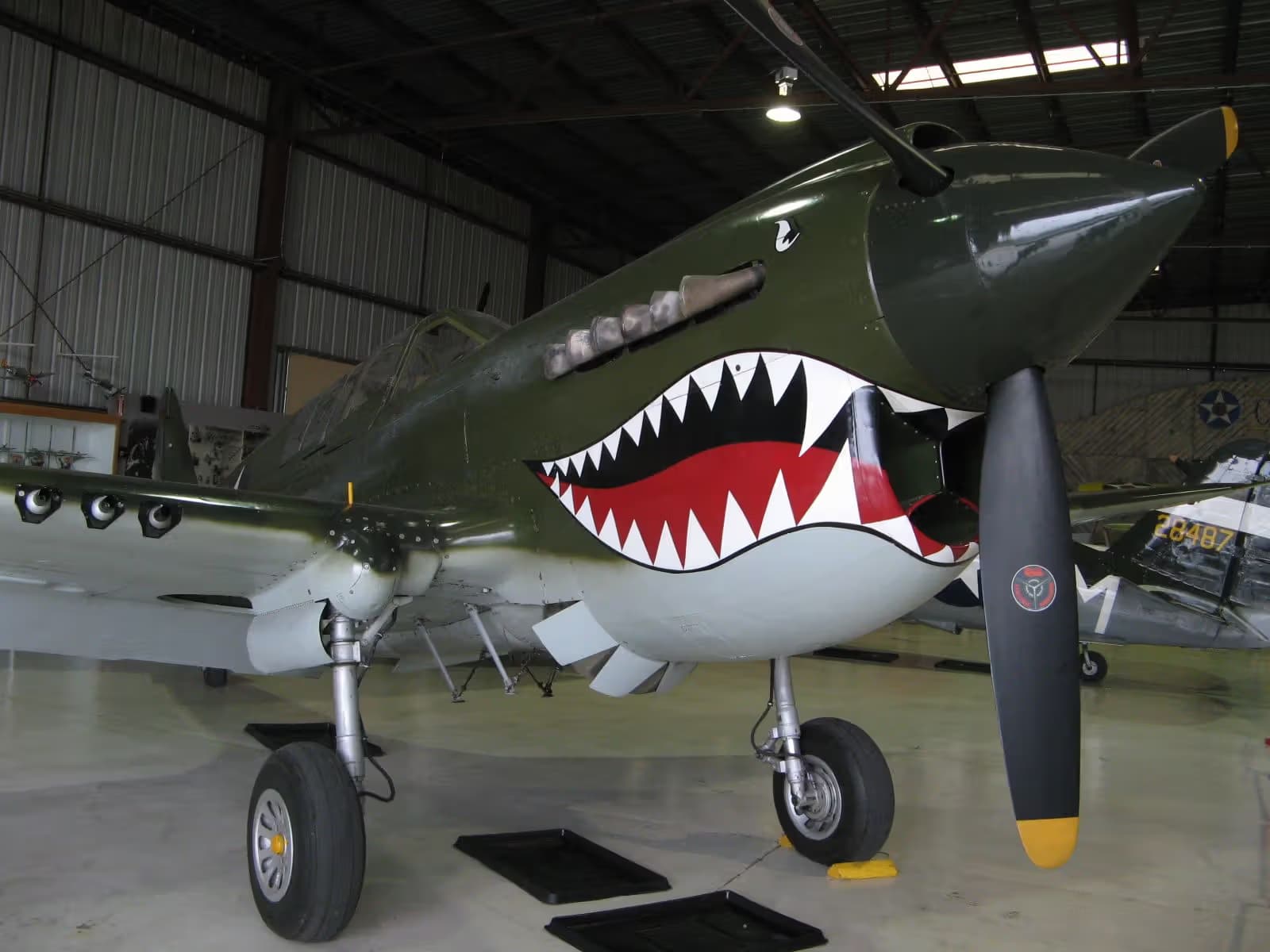Unidentified — Warbird