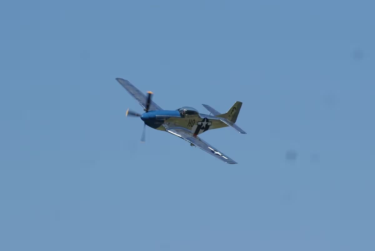 Unidentified — Warbird