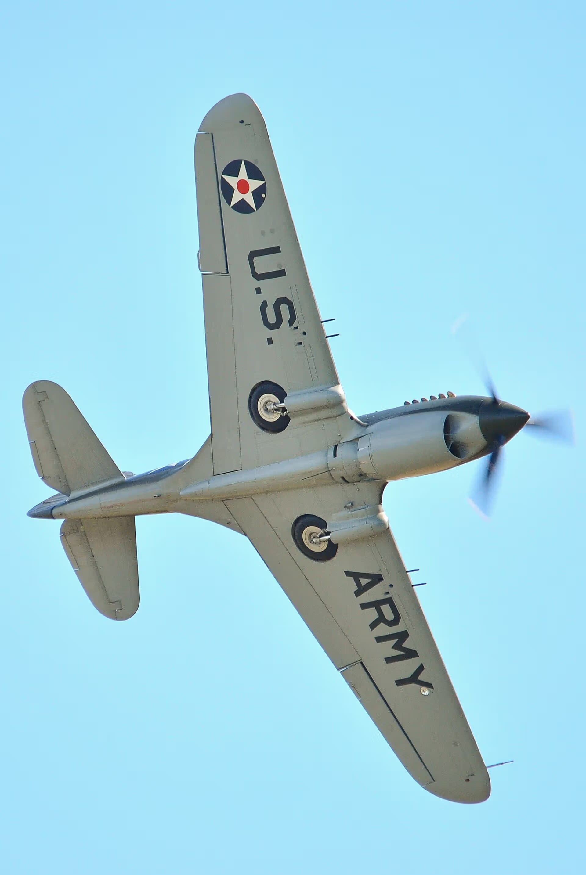 Unidentified — Warbird