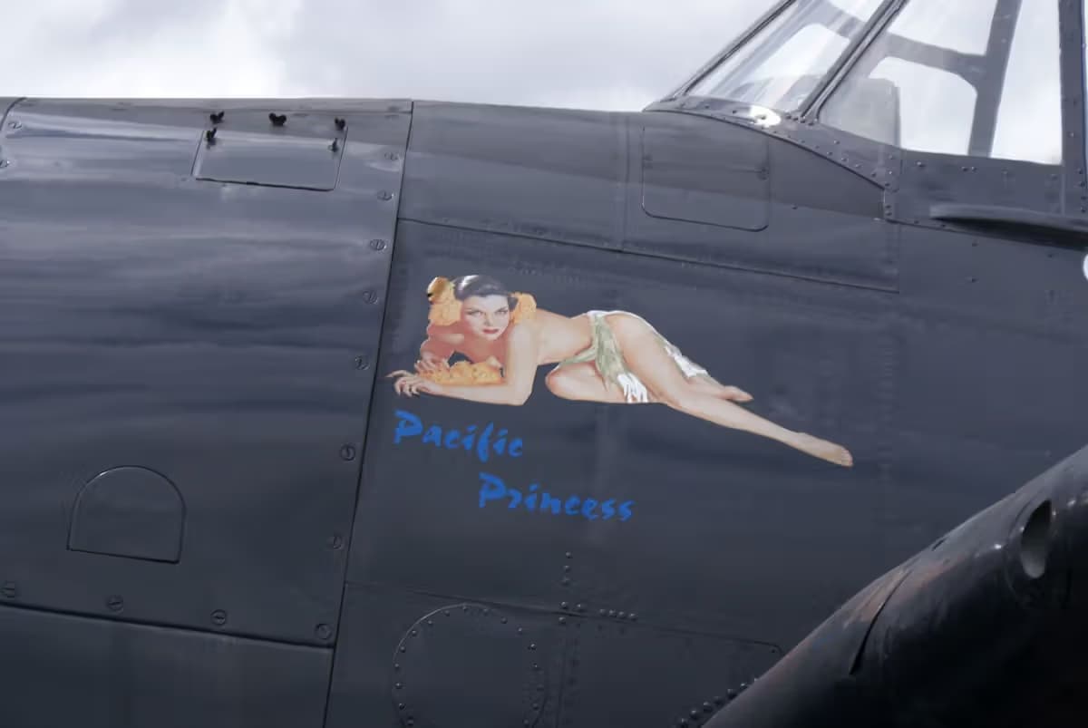 Unidentified — Warbird