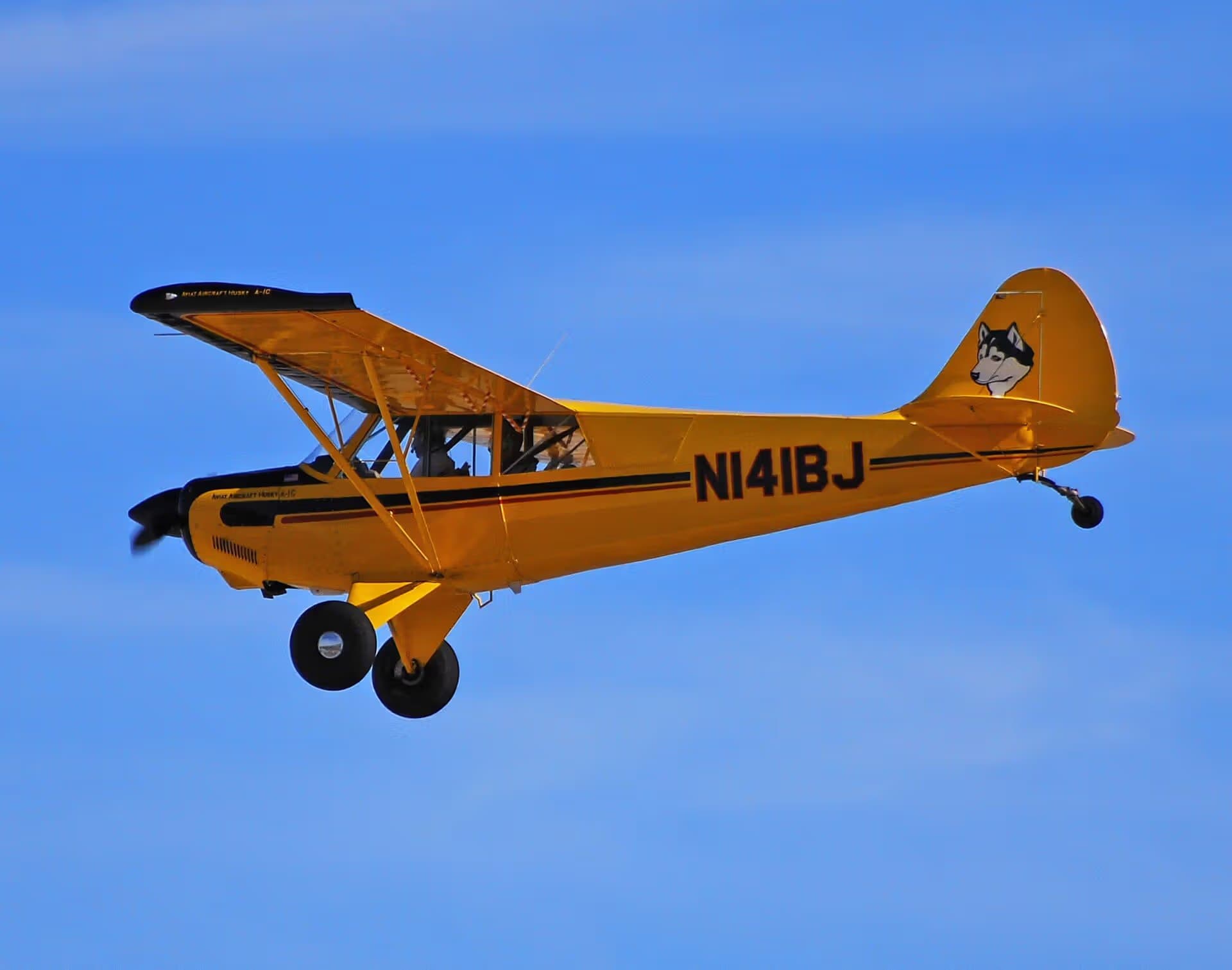 N141BJ — Single-engine aircraft