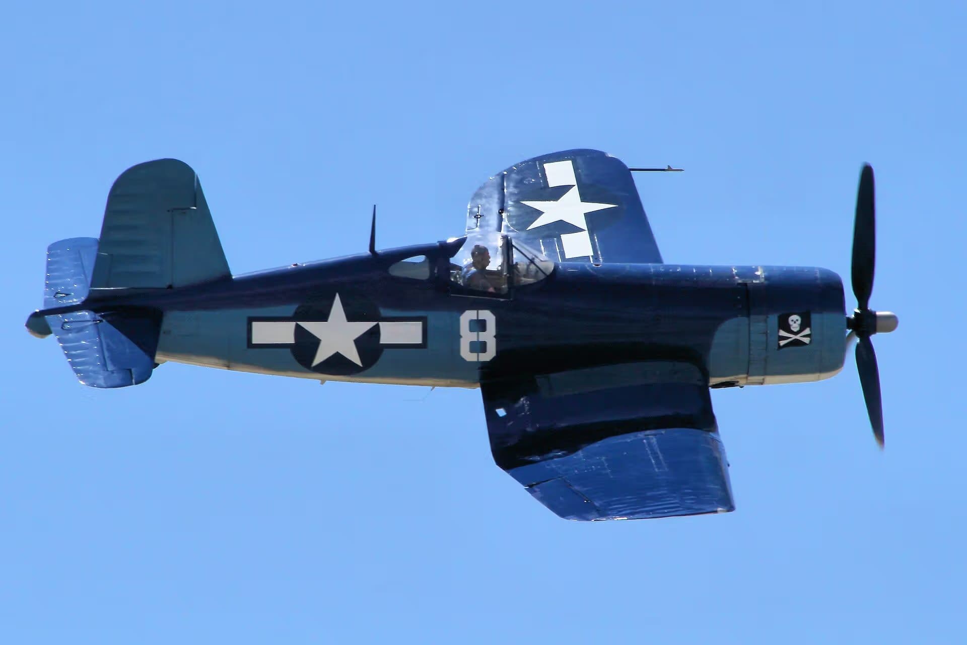 N11Y — Warbird