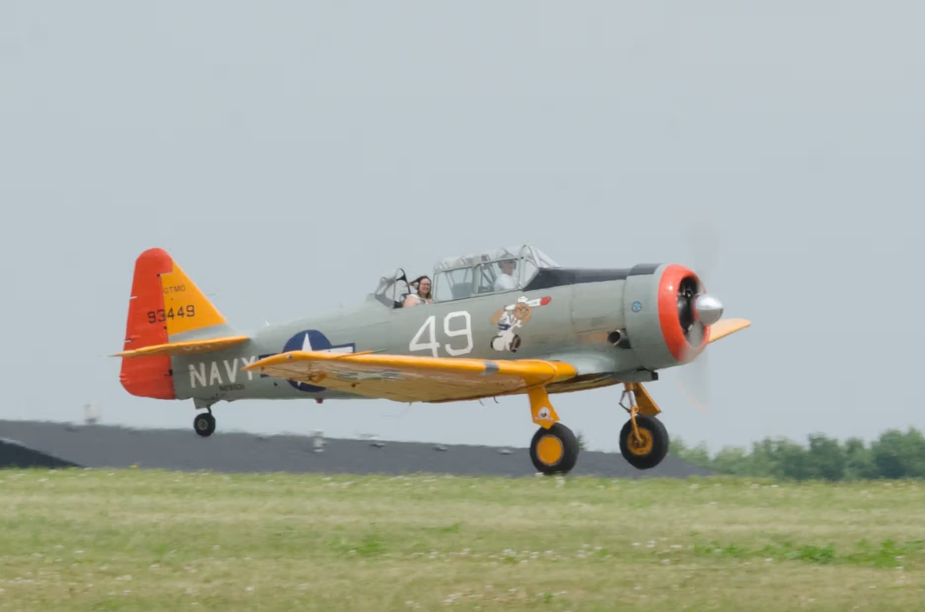 N29931 — Warbird