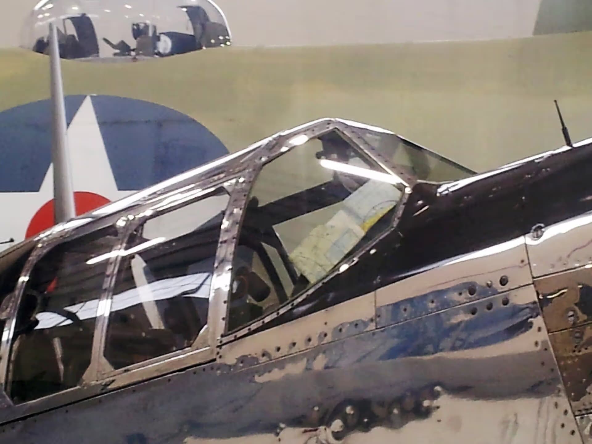 N1204 — Warbird