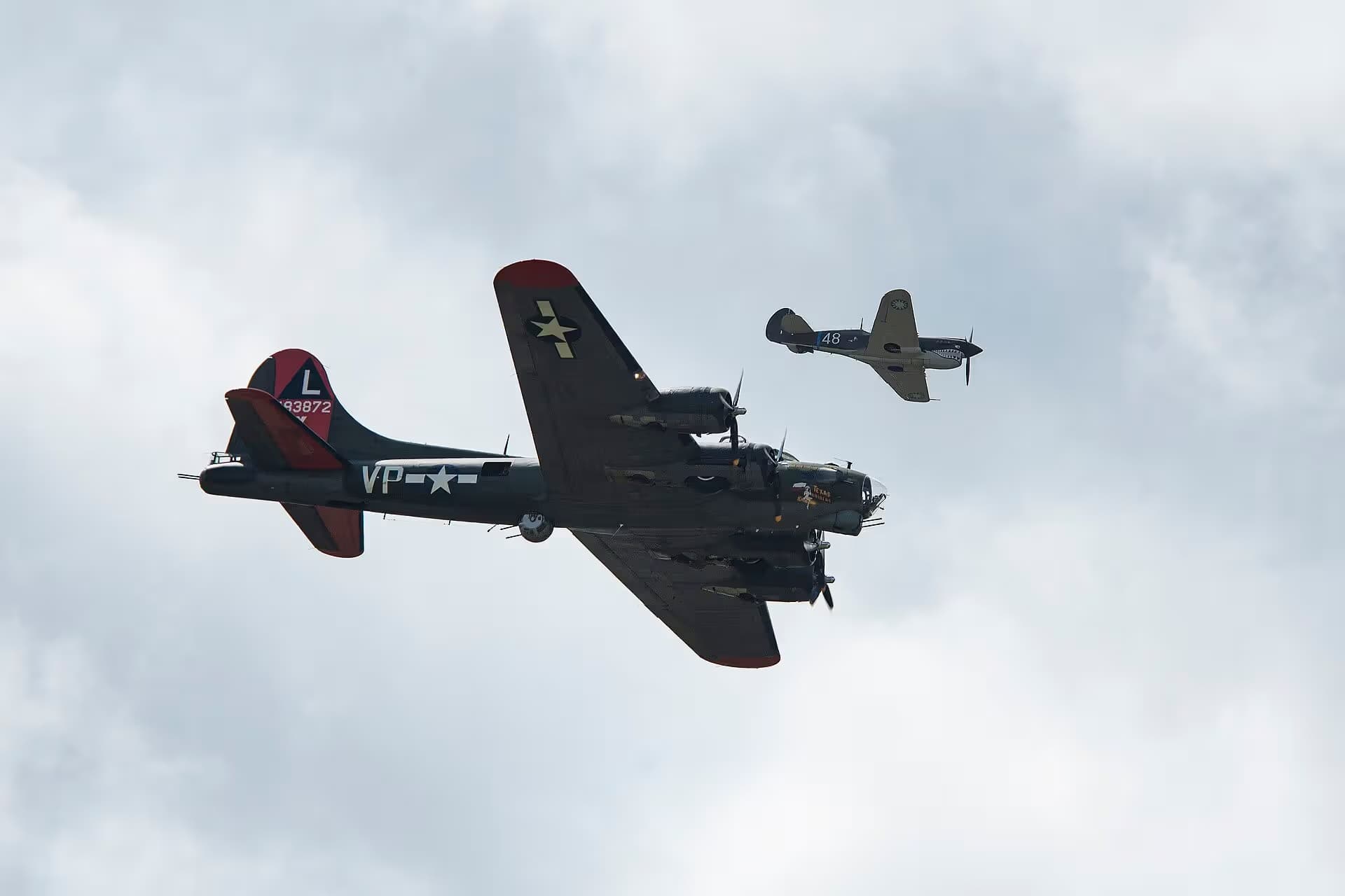 N1226N — Warbird