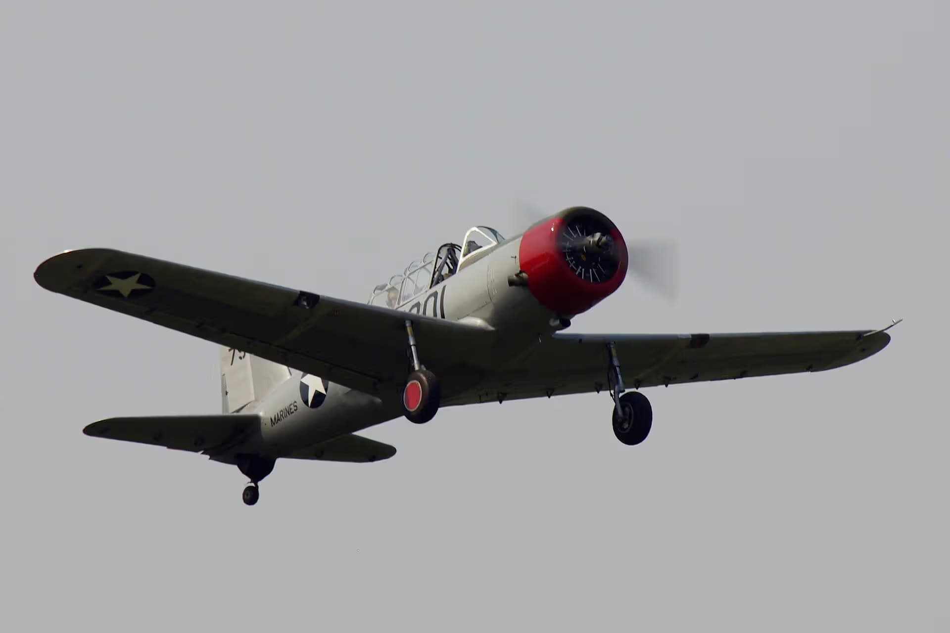N71502 — Warbird