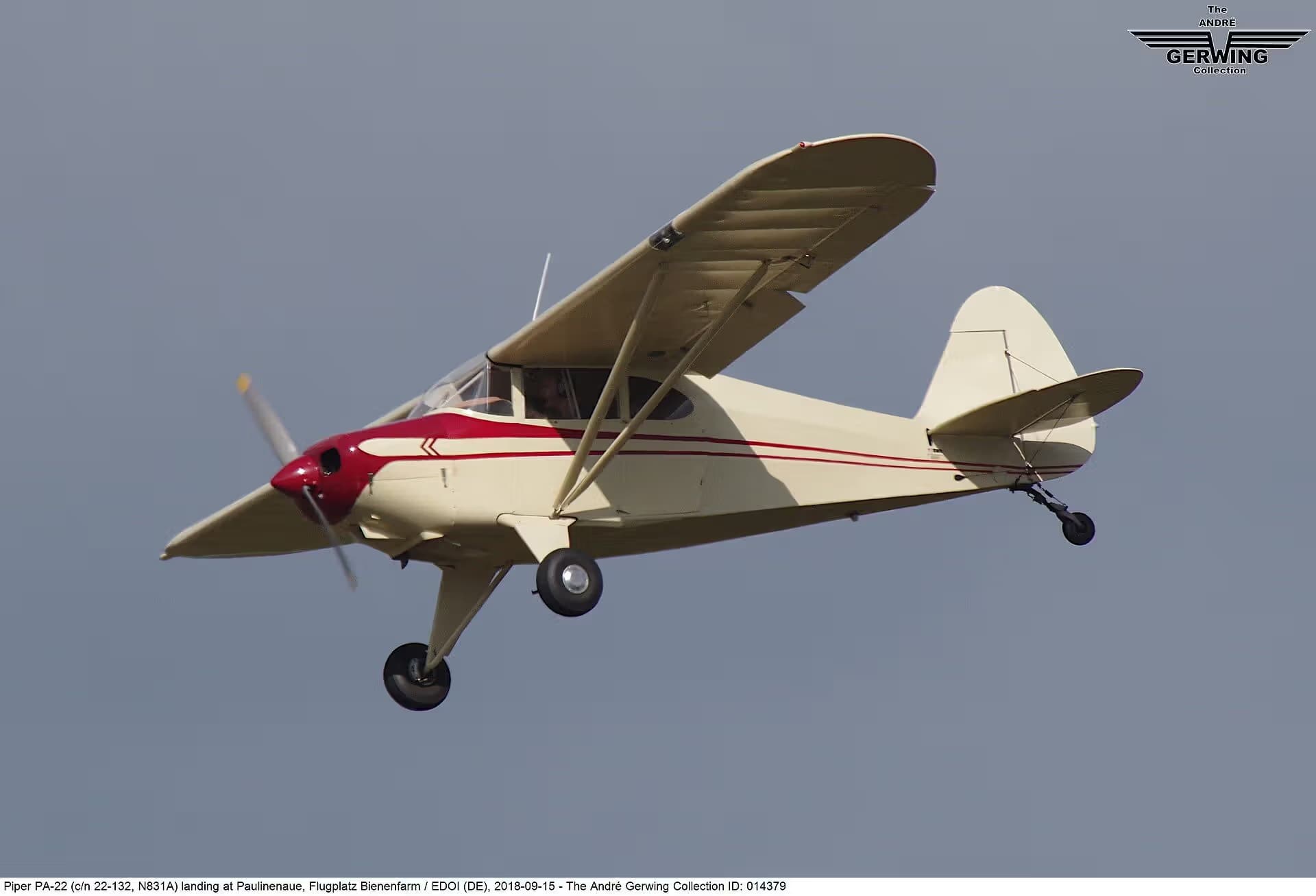 N831A — Piper