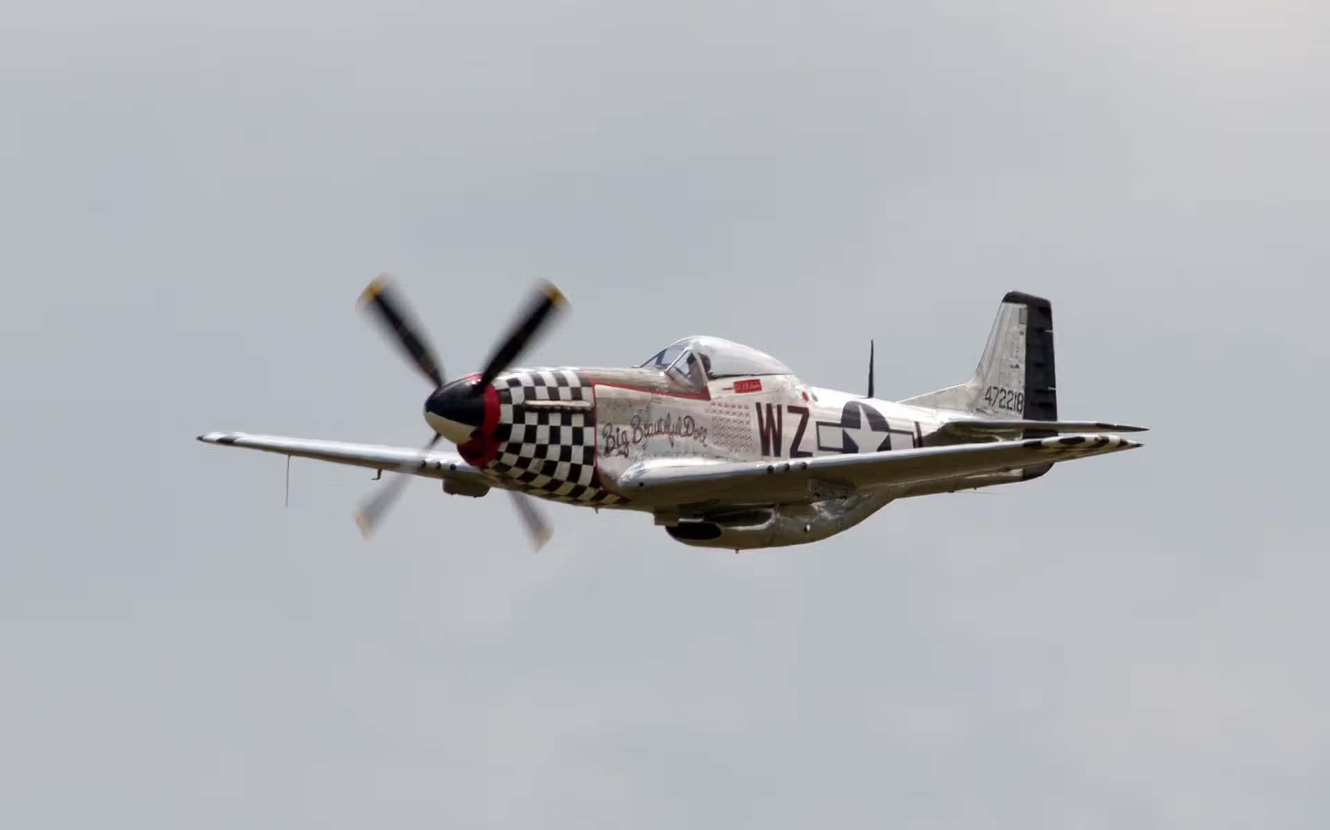 Unidentified — Warbird