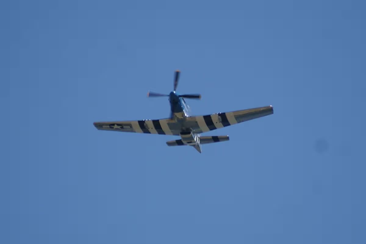 Unidentified — Warbird