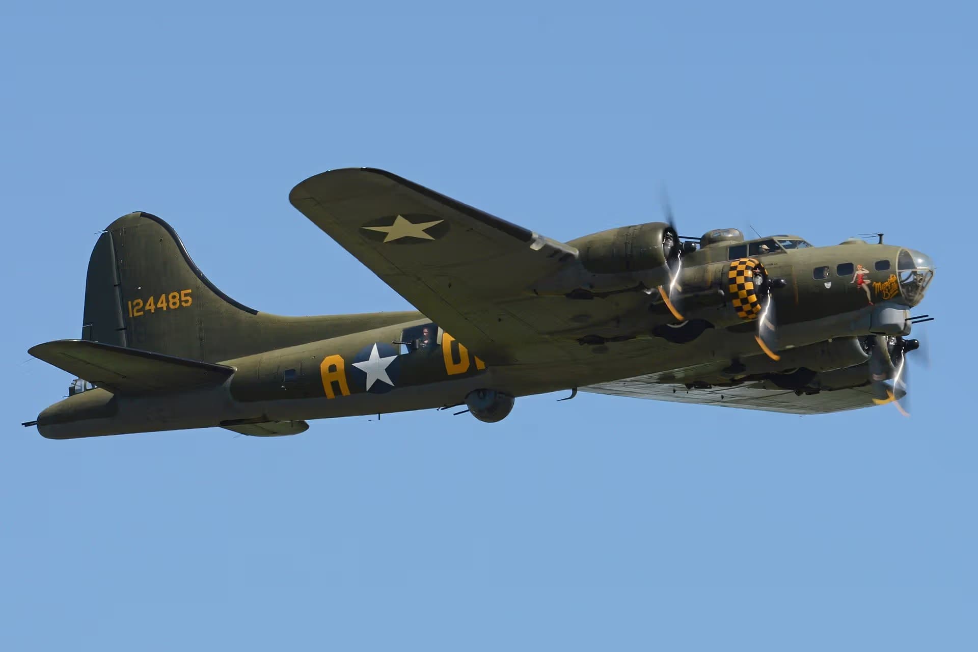 Unidentified — Warbird