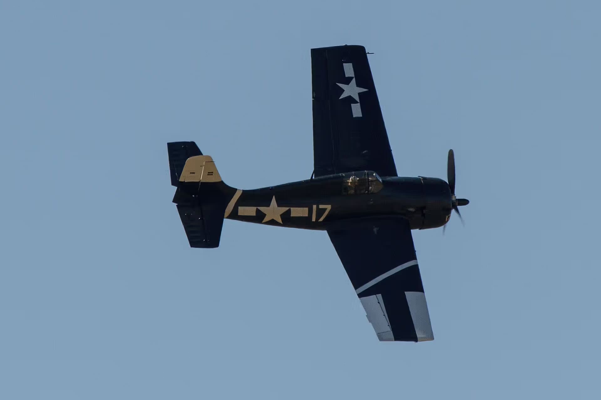 Unidentified — Warbird