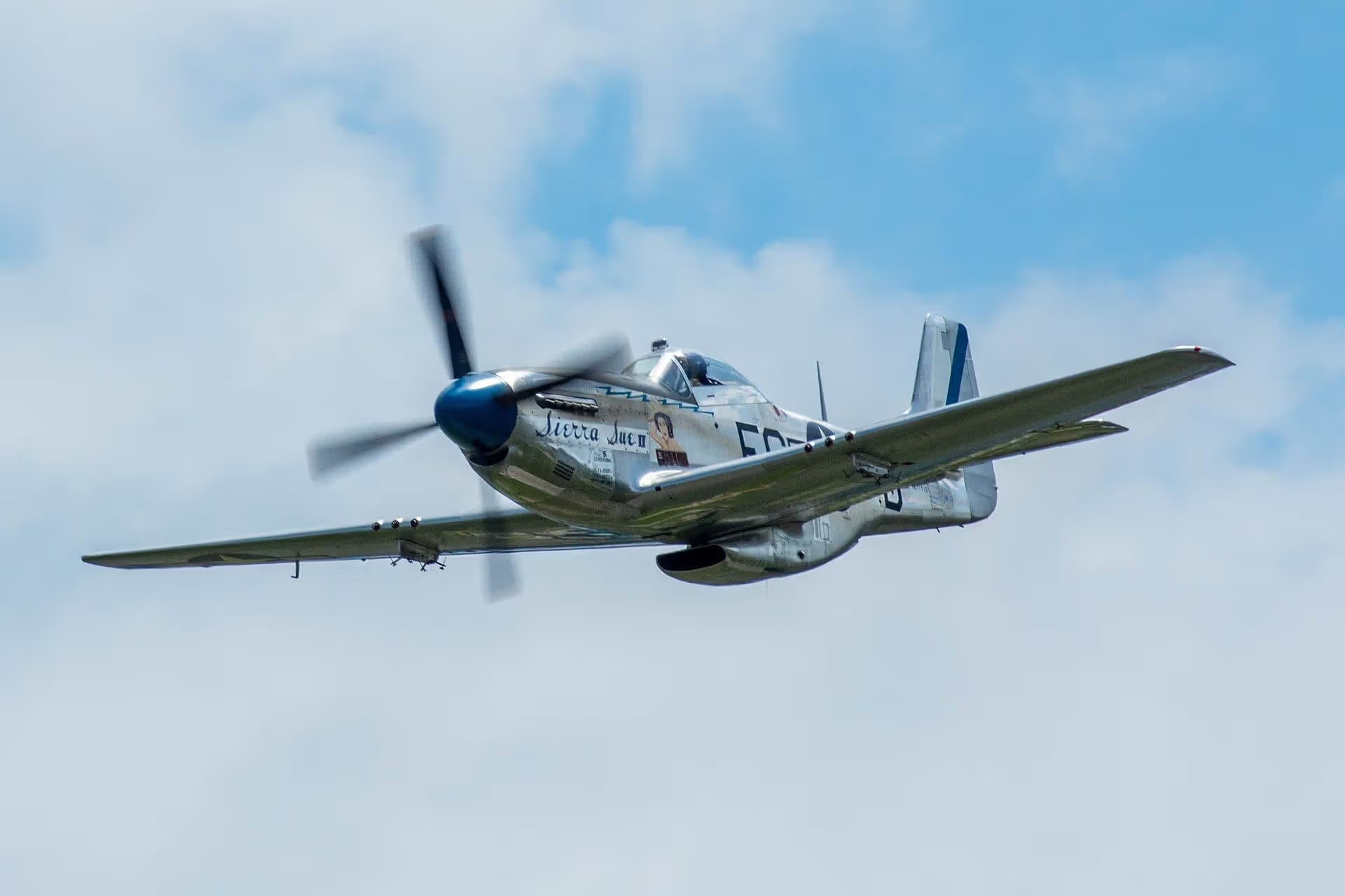 N1751D — Warbird
