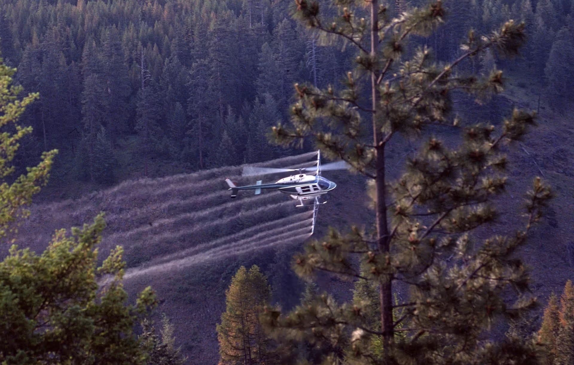 N59558 — Helicopter