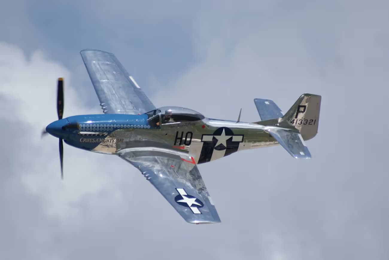 Unidentified — Warbird