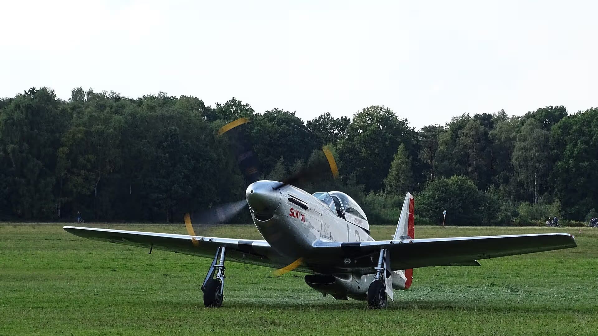 Unidentified — Warbird