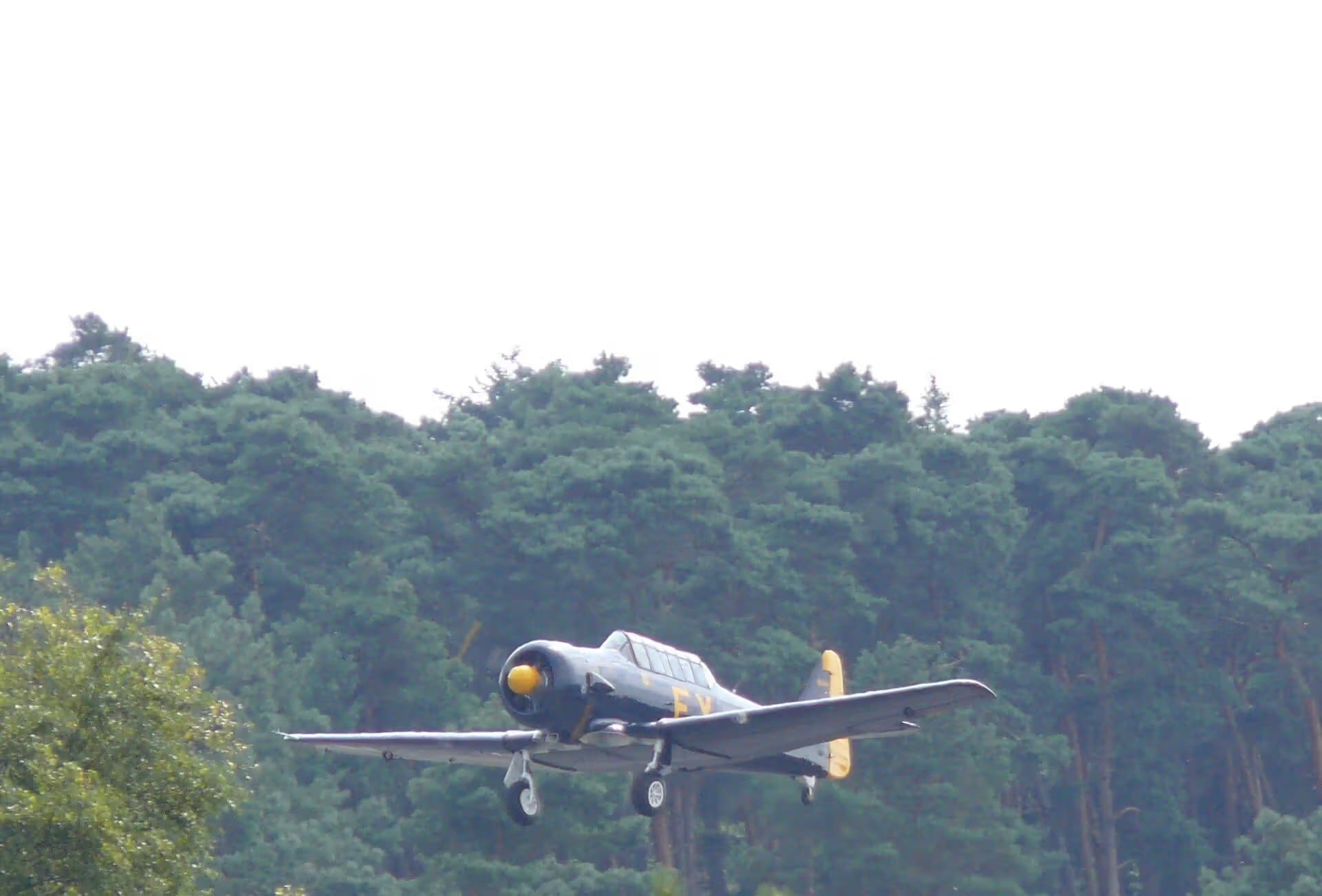 N13FY — Warbird