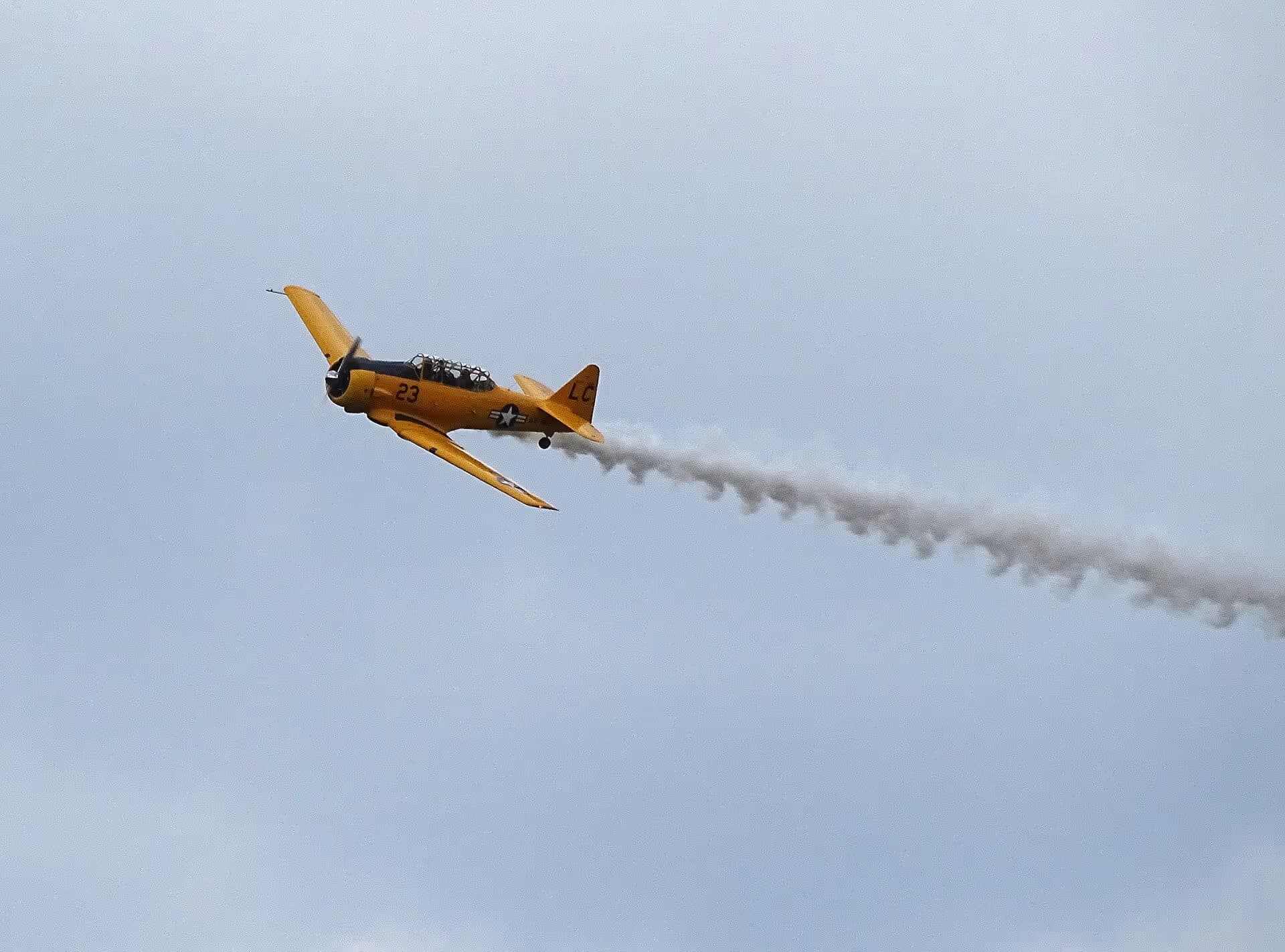 N3286 — Warbird