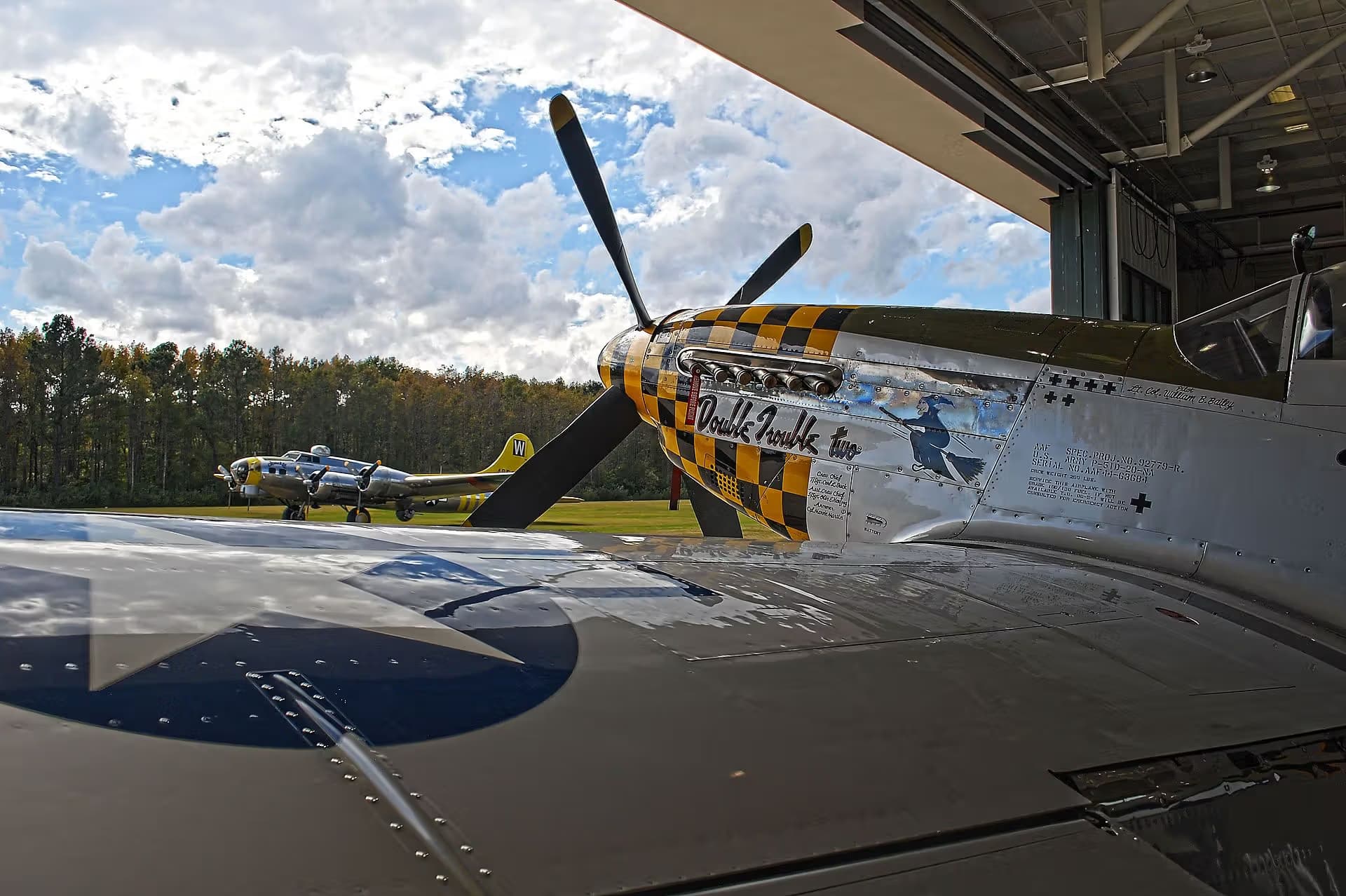 Unidentified — Warbird