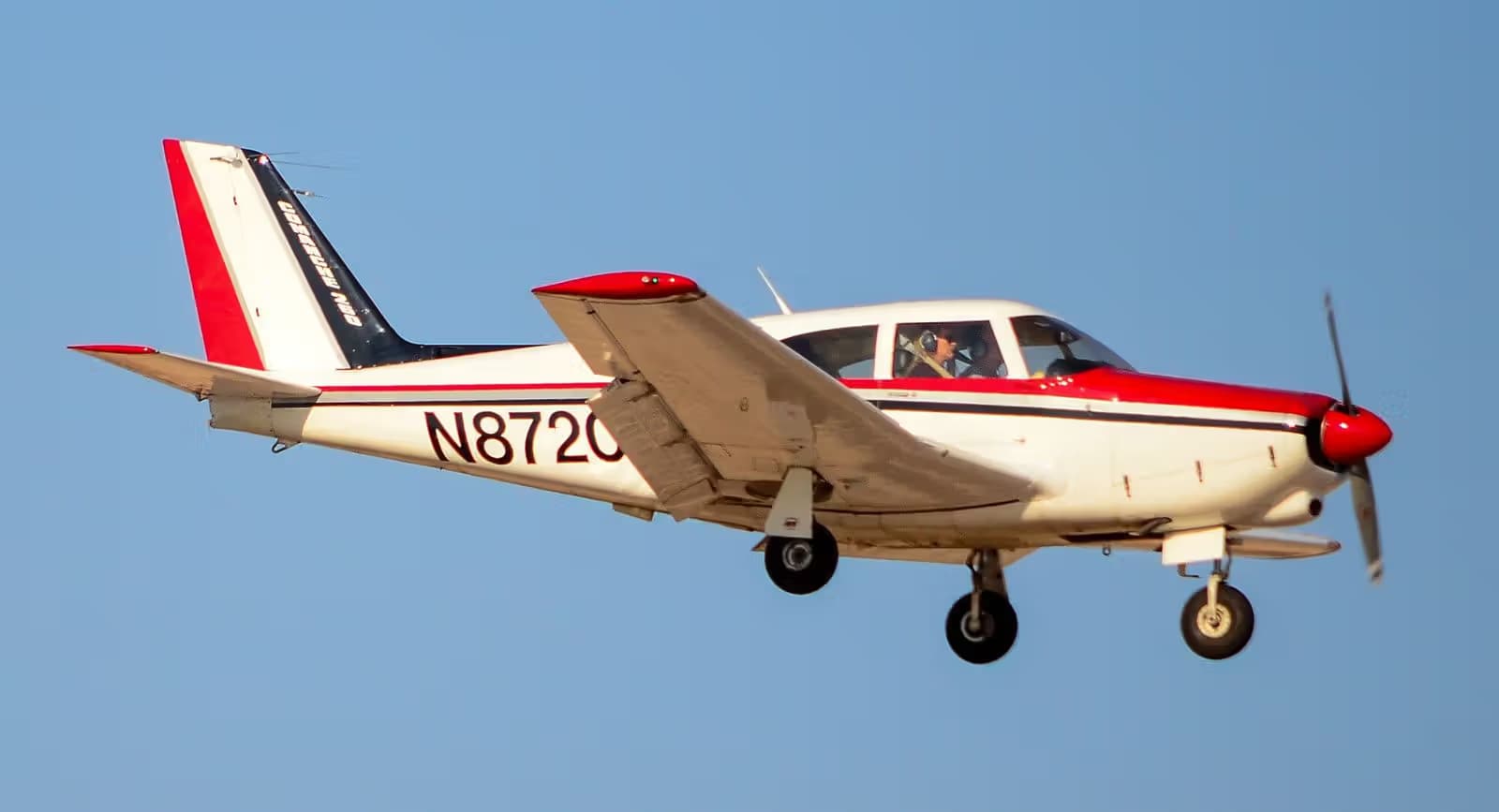 N8720P — Piper