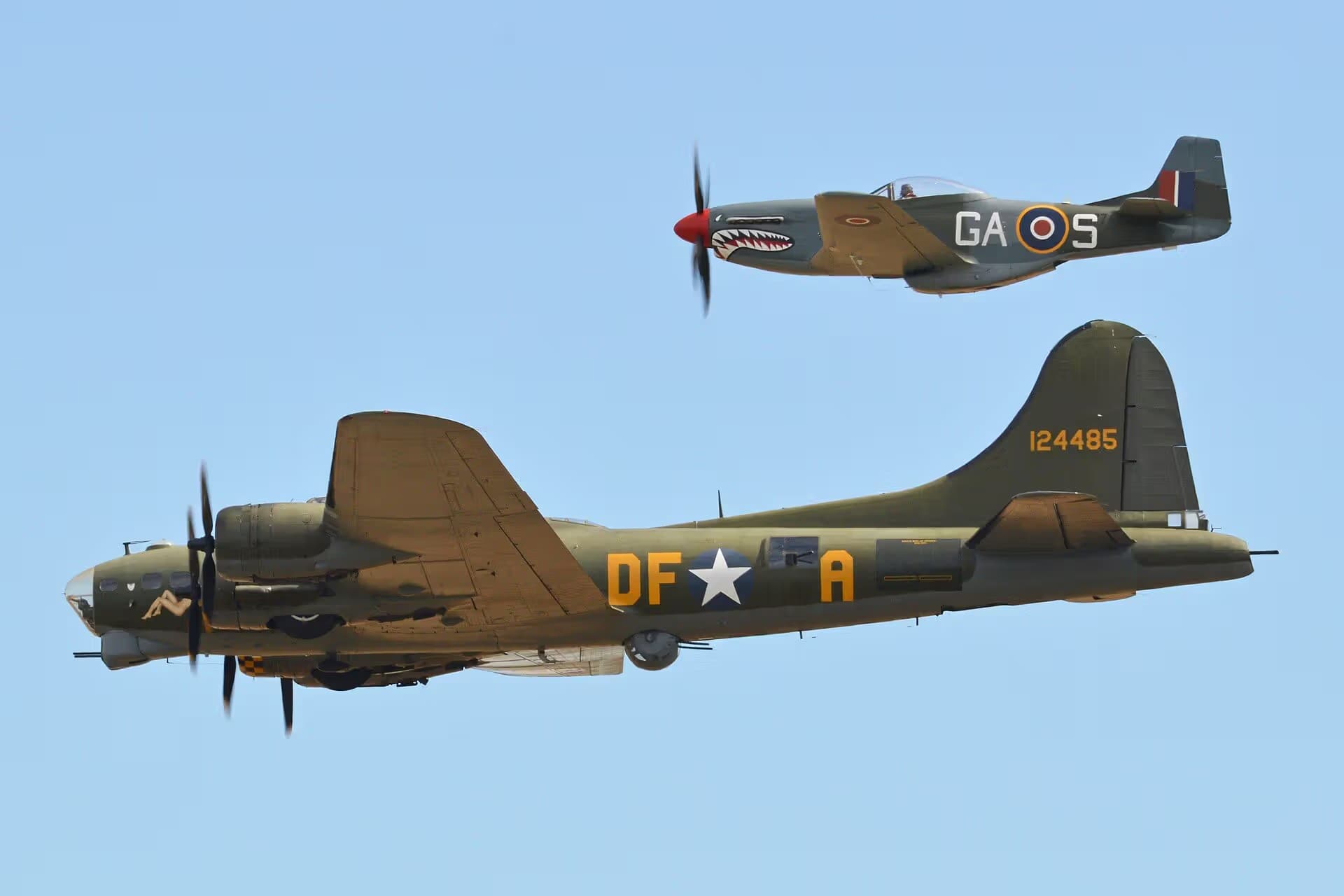Unidentified — Warbird