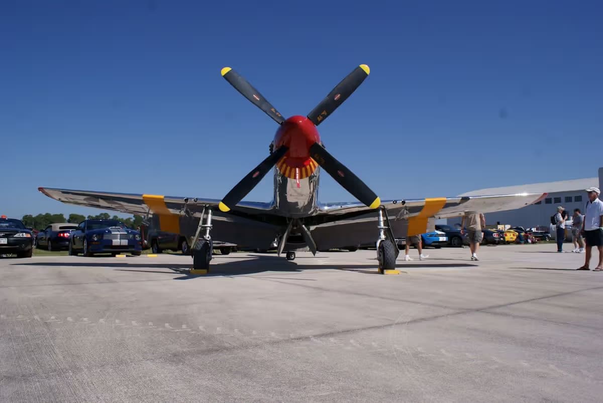 Unidentified — Warbird
