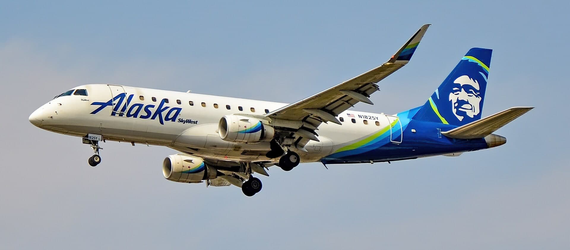 N182SY — Twin-engine aircraft