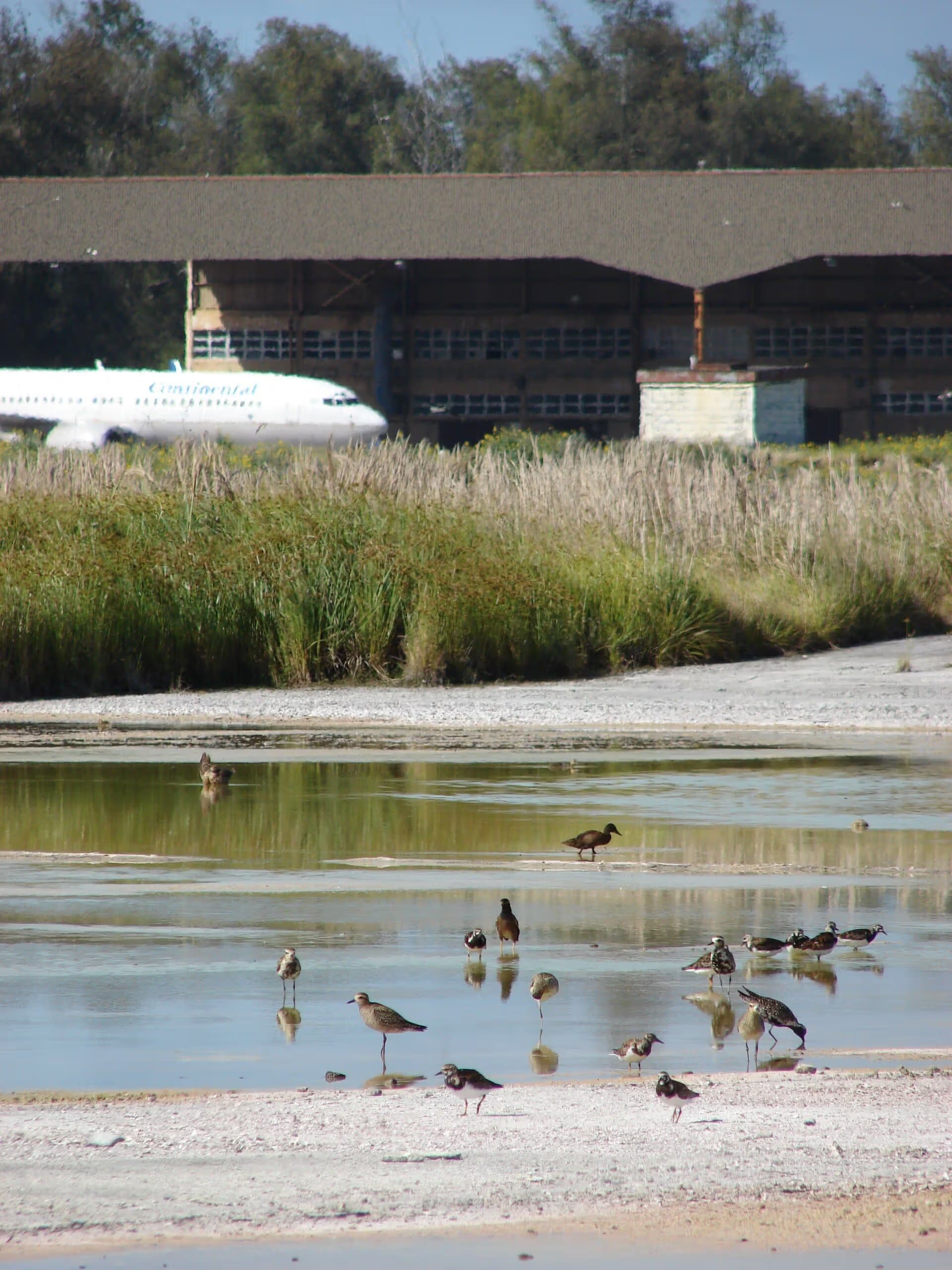 N25201 — Aircraft