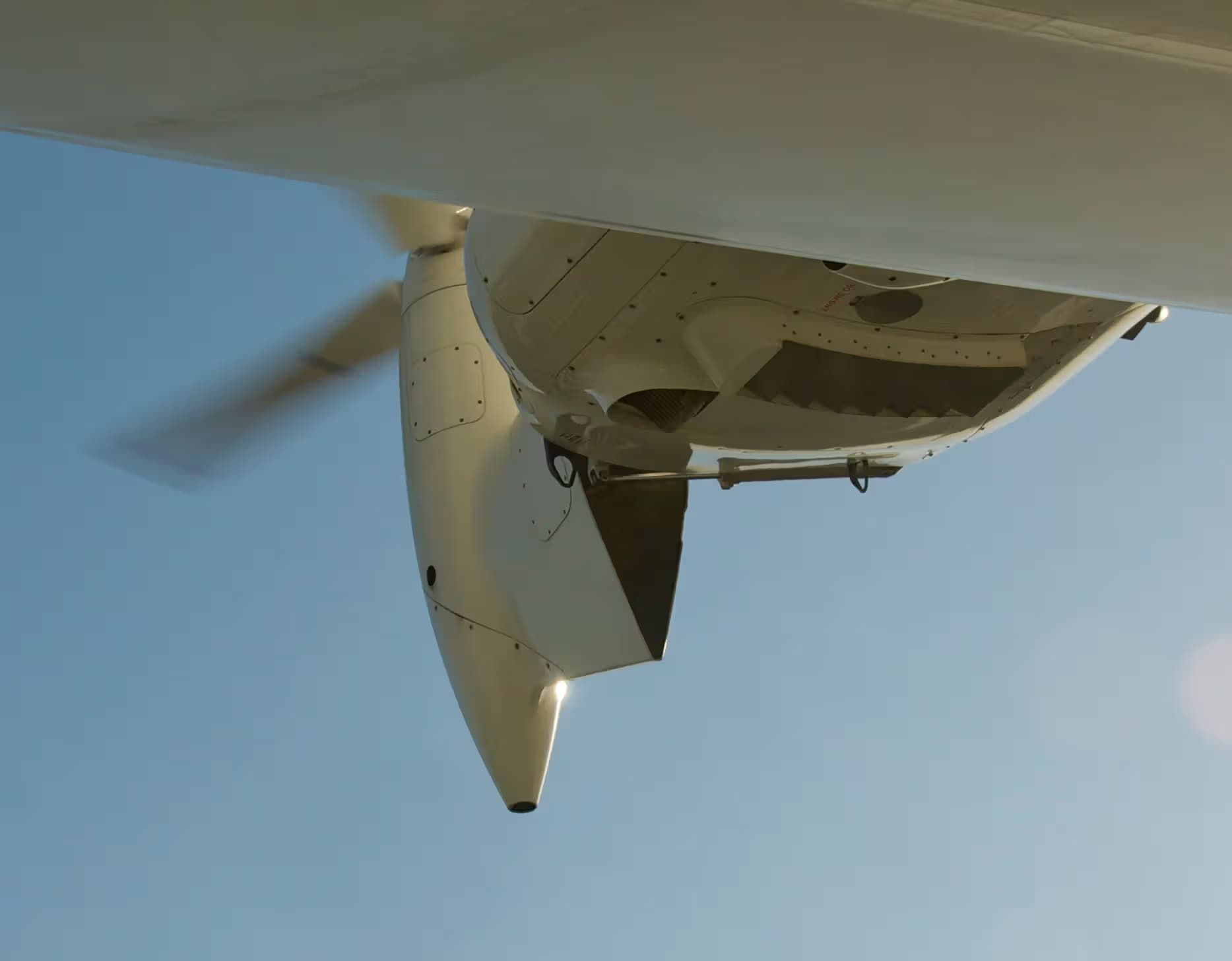 N704LZ — Single-engine aircraft