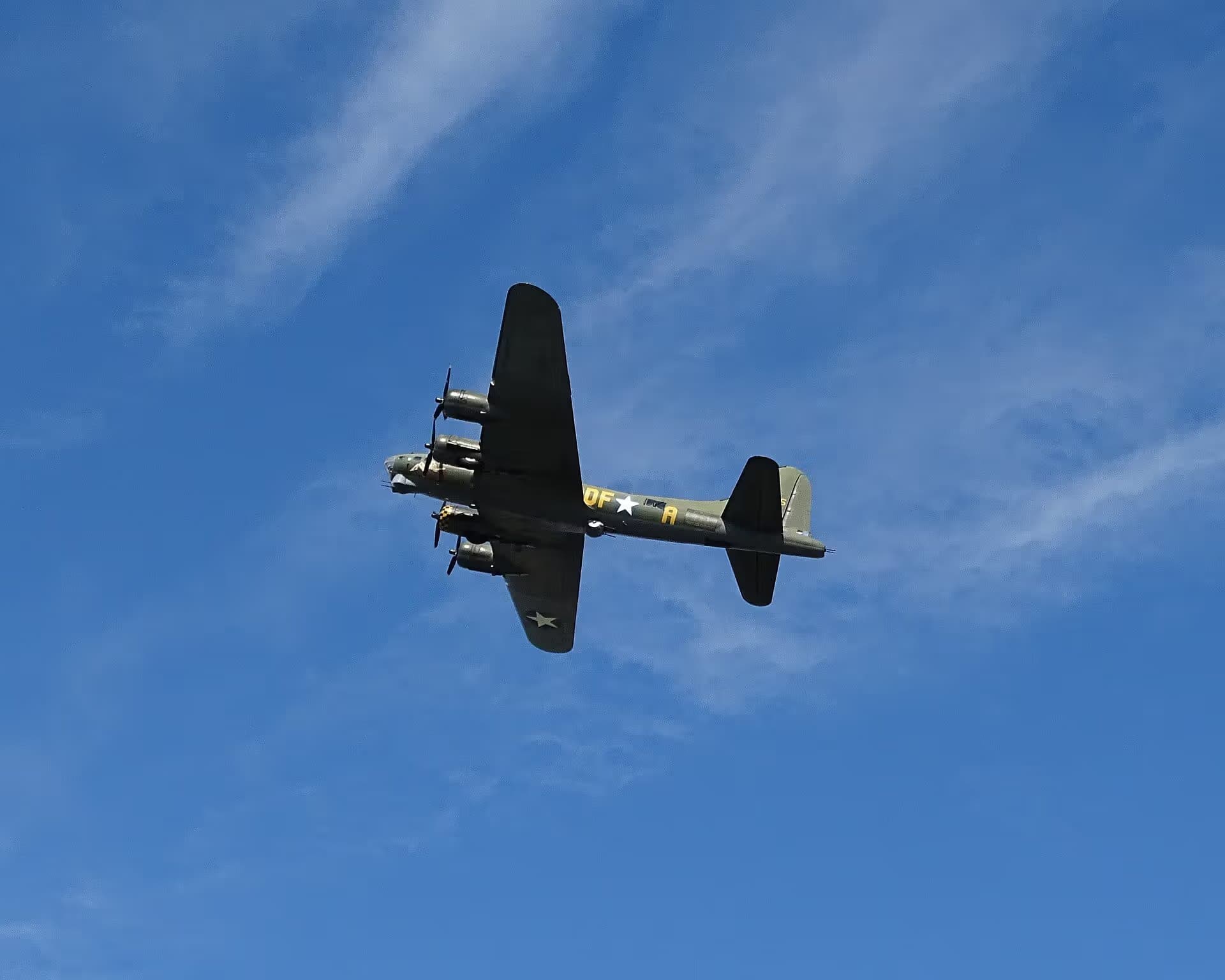 Unidentified — Warbird