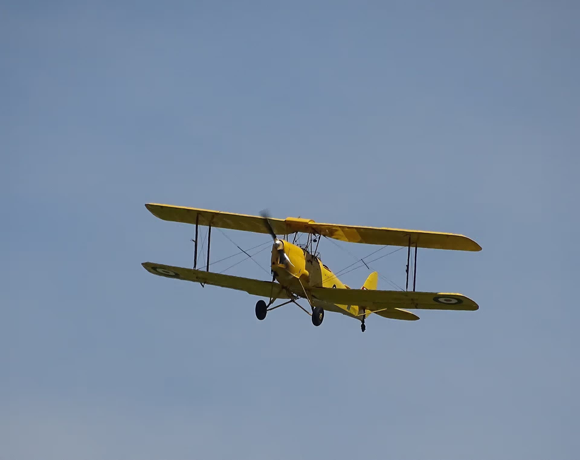 N54556 — Single-engine aircraft