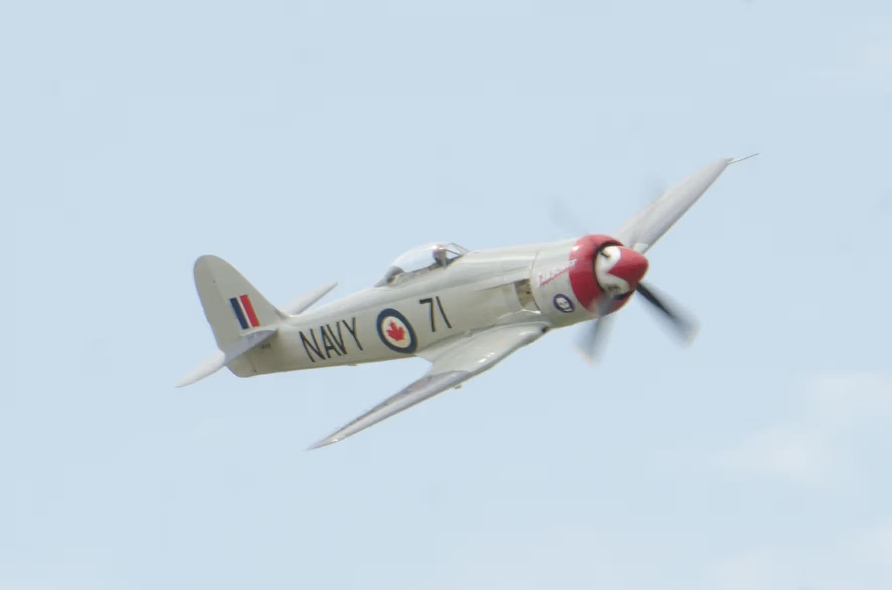 N71GB — Warbird