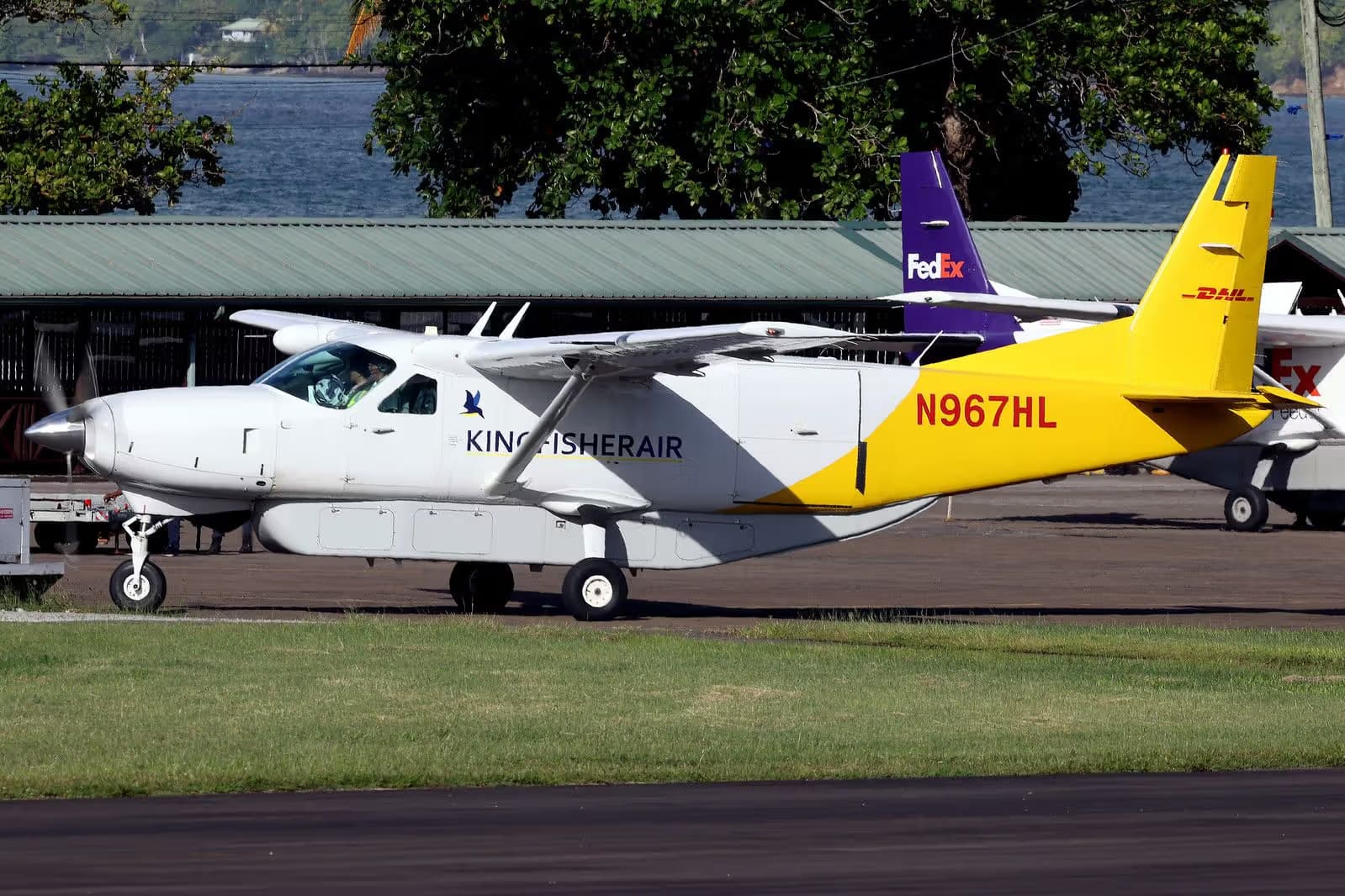 N967HL — Single-engine aircraft