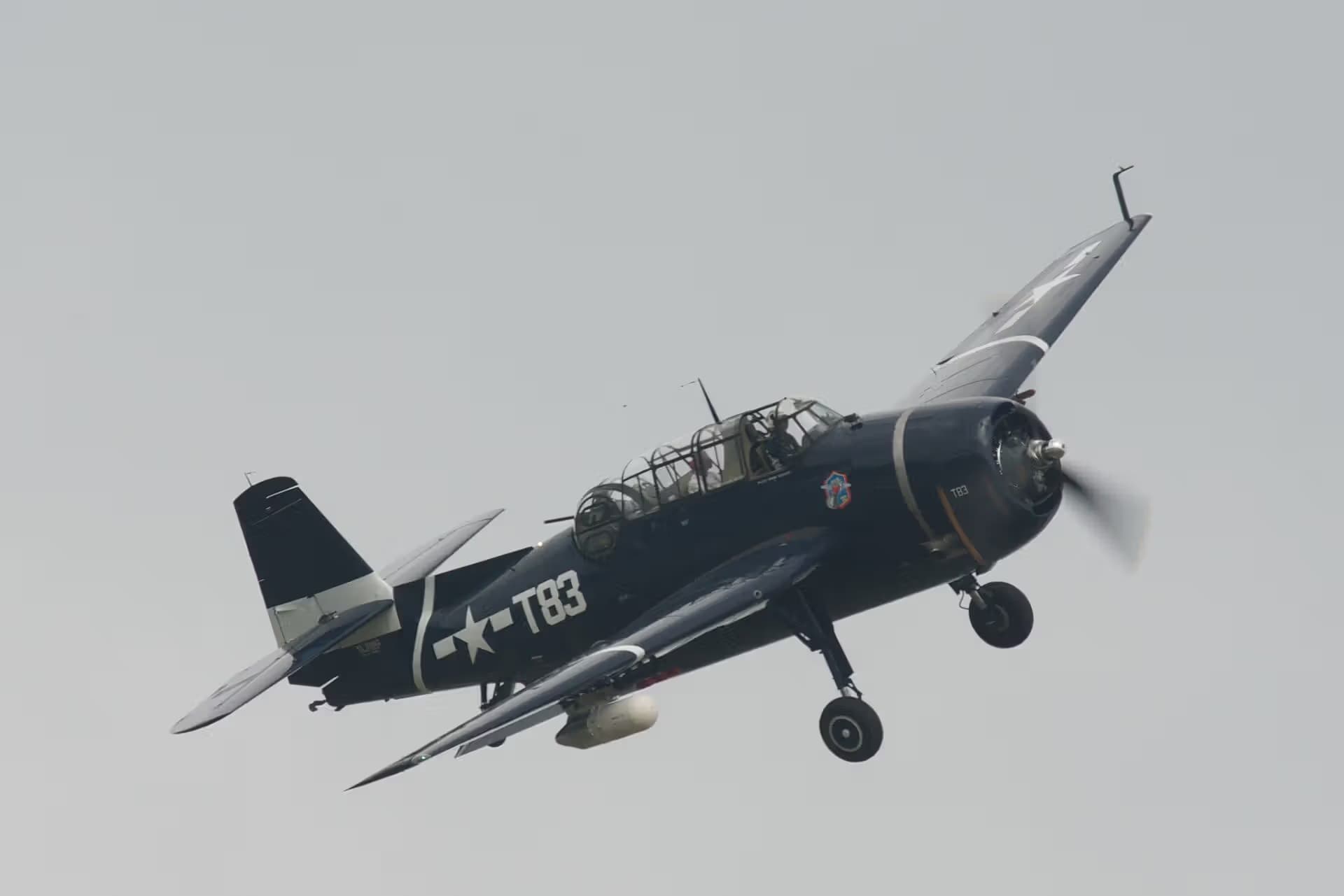 N81865 — Warbird