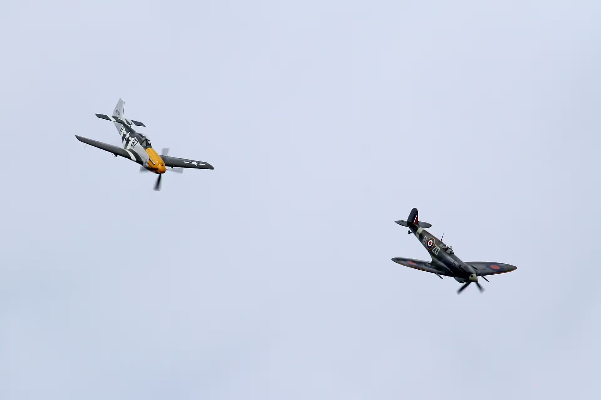 Unidentified — Warbird