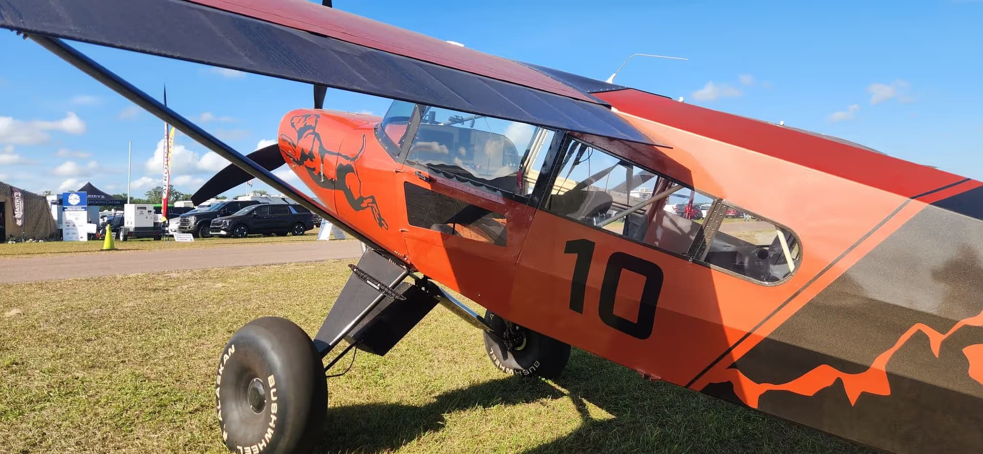 N402WV — Bearhawk Aircraft Bearhawk Five at Lakeland Linder Intl
