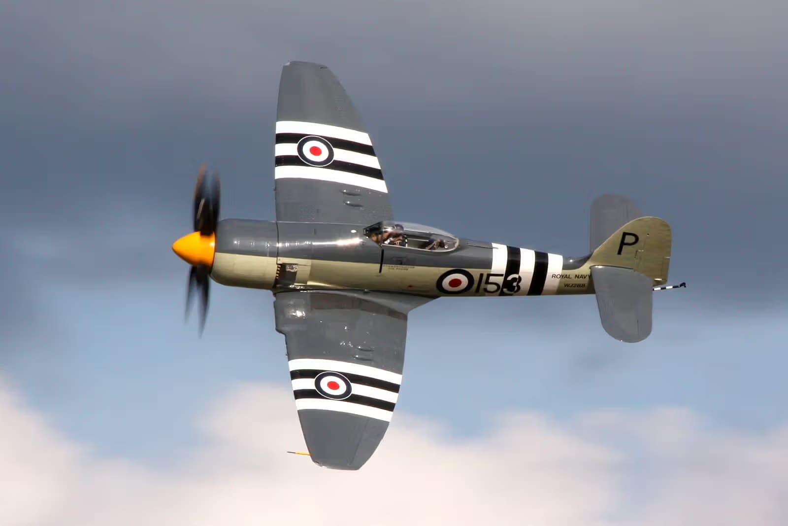 Unidentified — Warbird