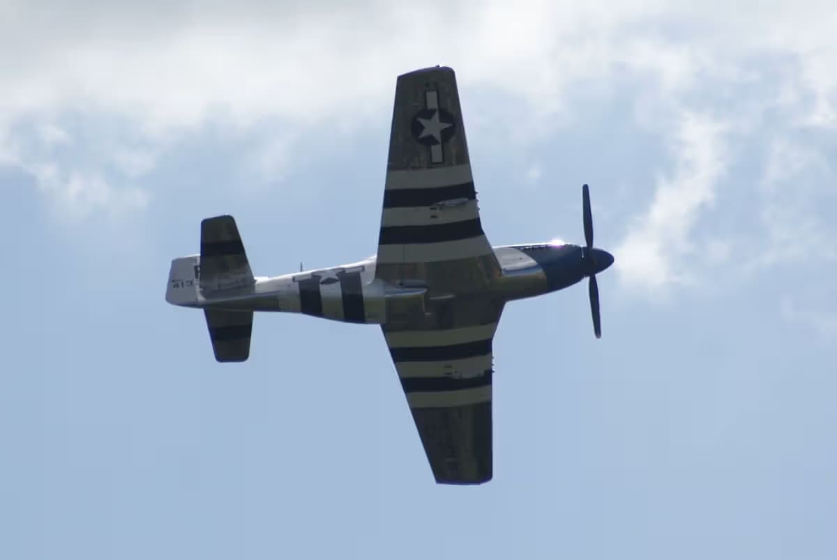 Unidentified — Warbird