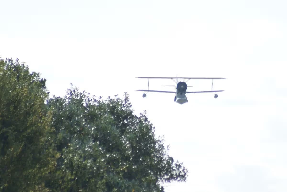 N1214N — Single-engine aircraft
