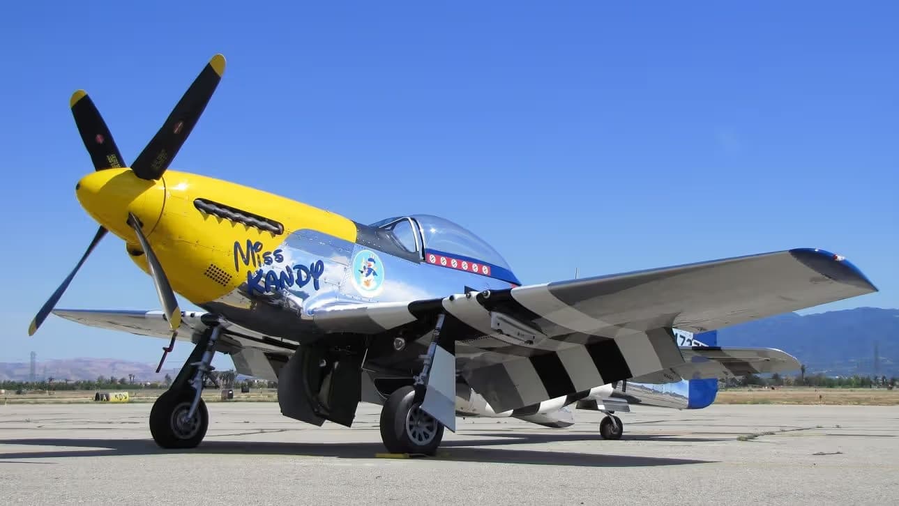 N5444V — Warbird