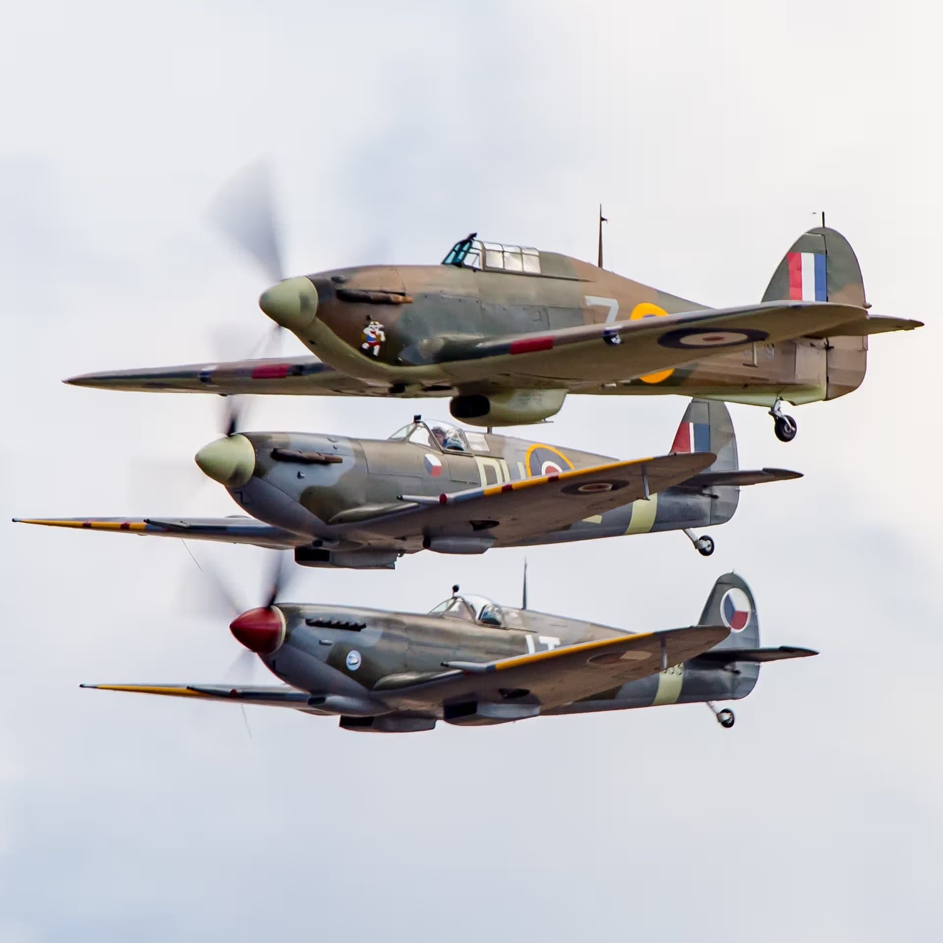 Unidentified — Warbird