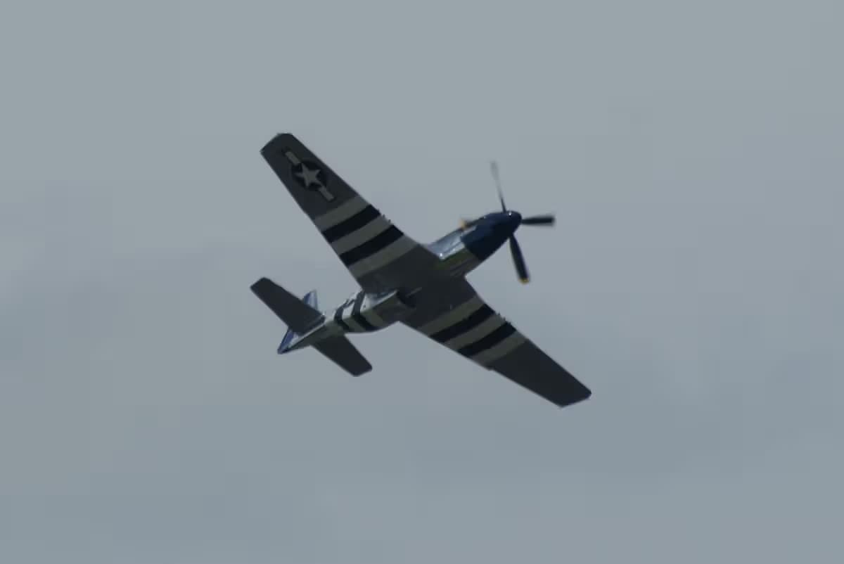 Unidentified — Warbird