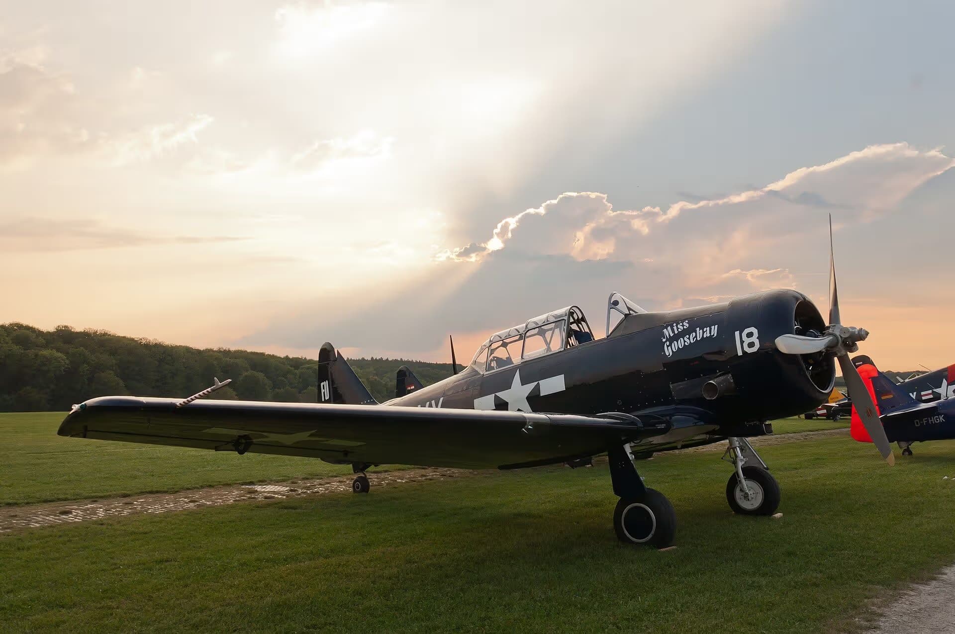 N6593D — Warbird