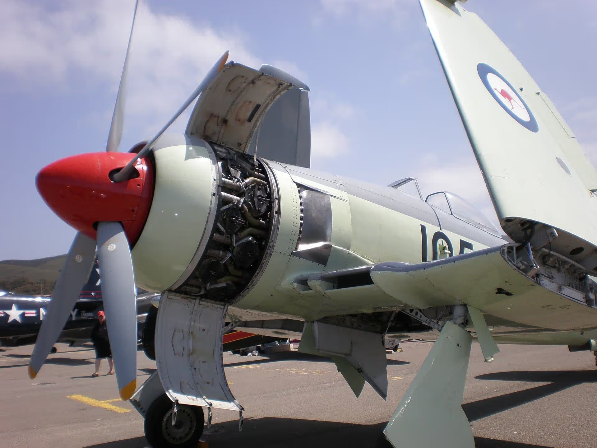 Unidentified — Warbird